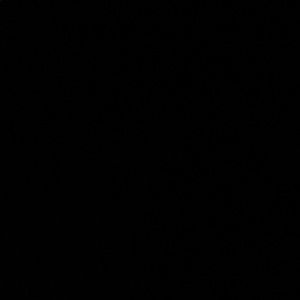 Meet your Posher, Ludvig